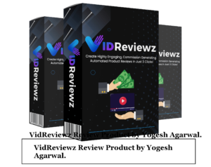 VidReviewz Review